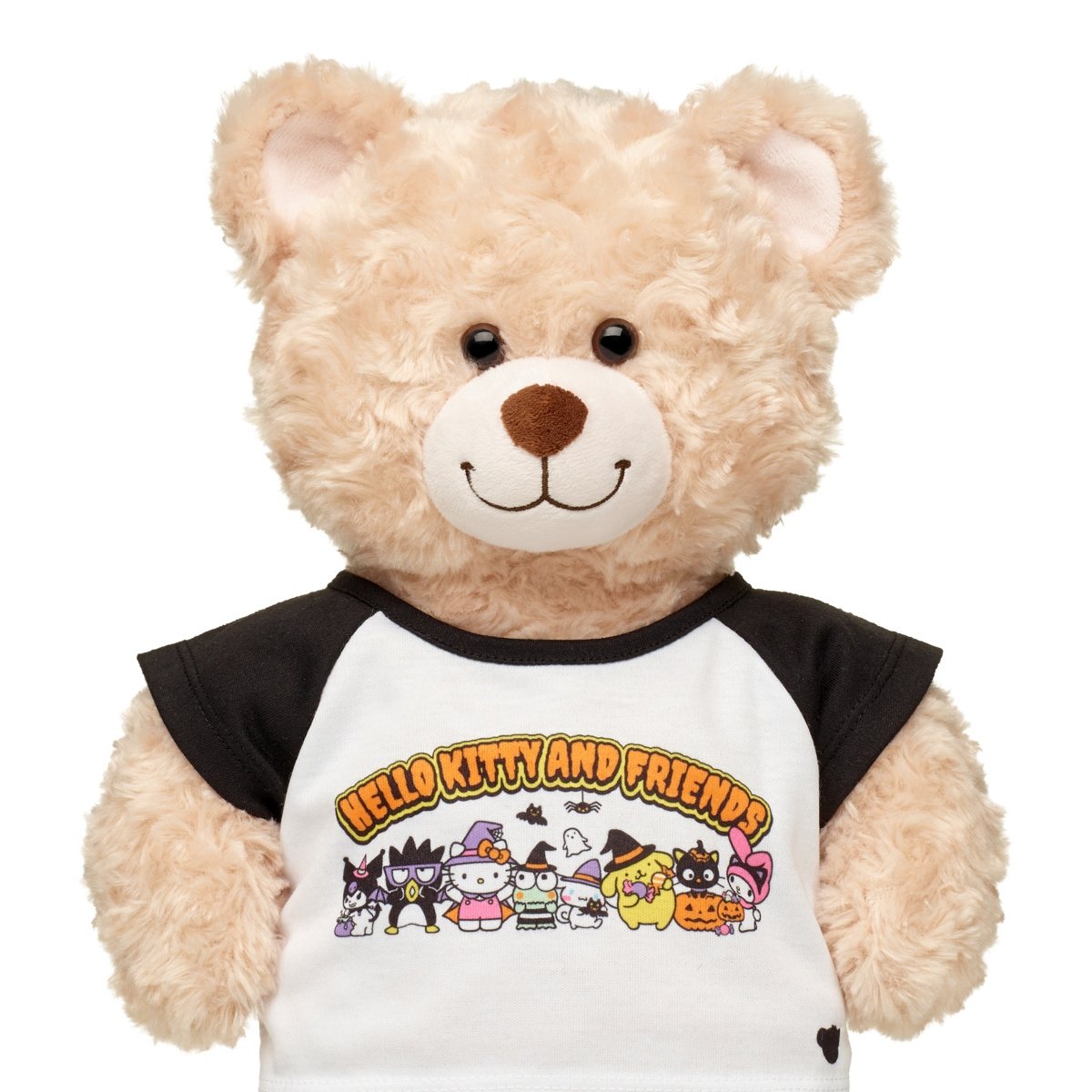 Polera Hello Kitty Hwn 25 Sanrio Build-A-Bear